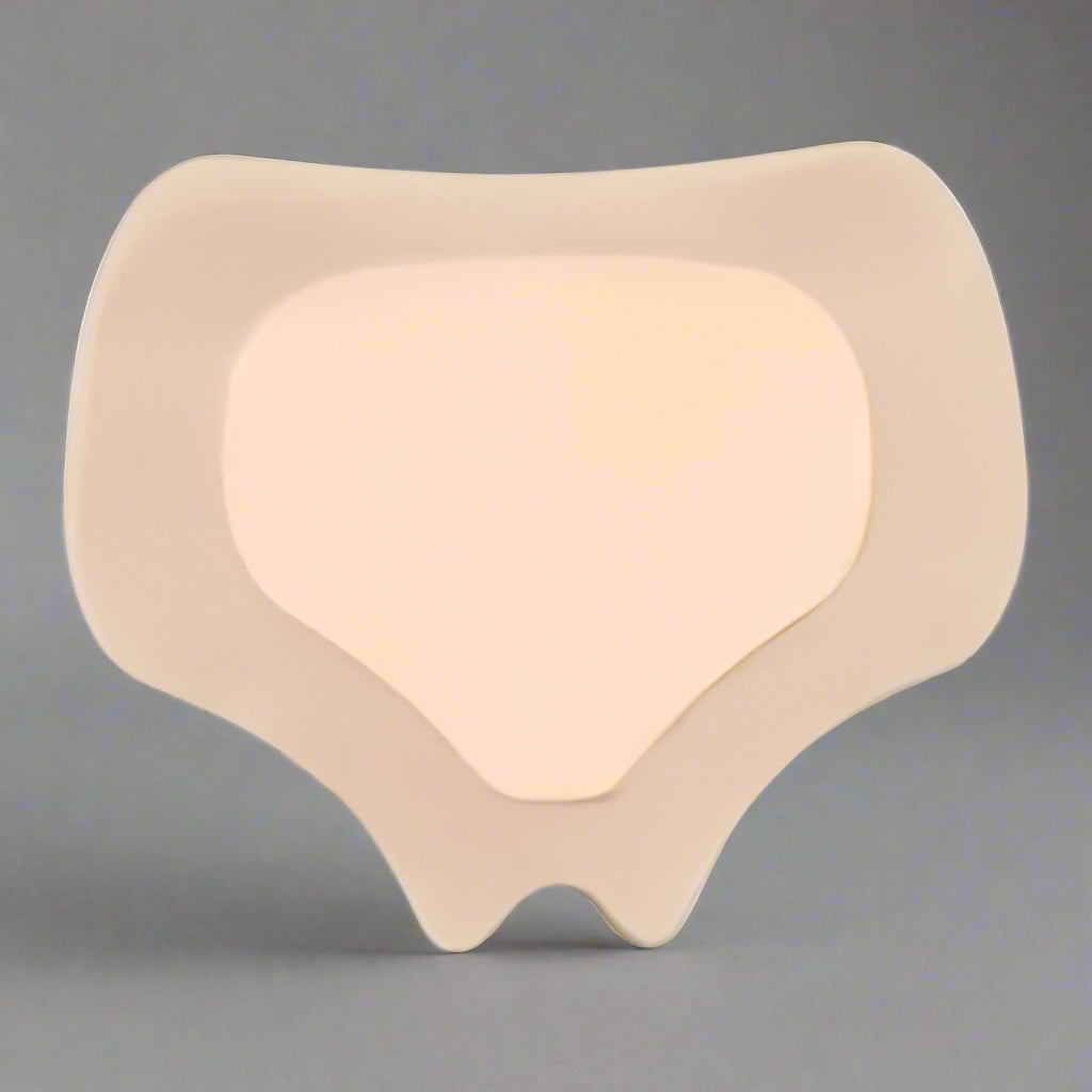 ConvaTec Aquacel Ag Adhesive Foam 420648 (2 Pcs)