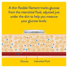 FreeStyle Libre Flash Glucose Monitoring Sensor | 14-Day Continuous Glucose Monitor (CGM) | Painless Sugar Tracking for Diabetes Management
