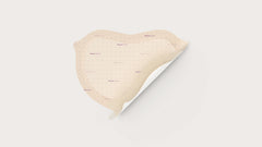 Mepilex Border Sacrum Multi-Layer Foam Dressing 282010  (16 X 20 cm) 2 Pcs