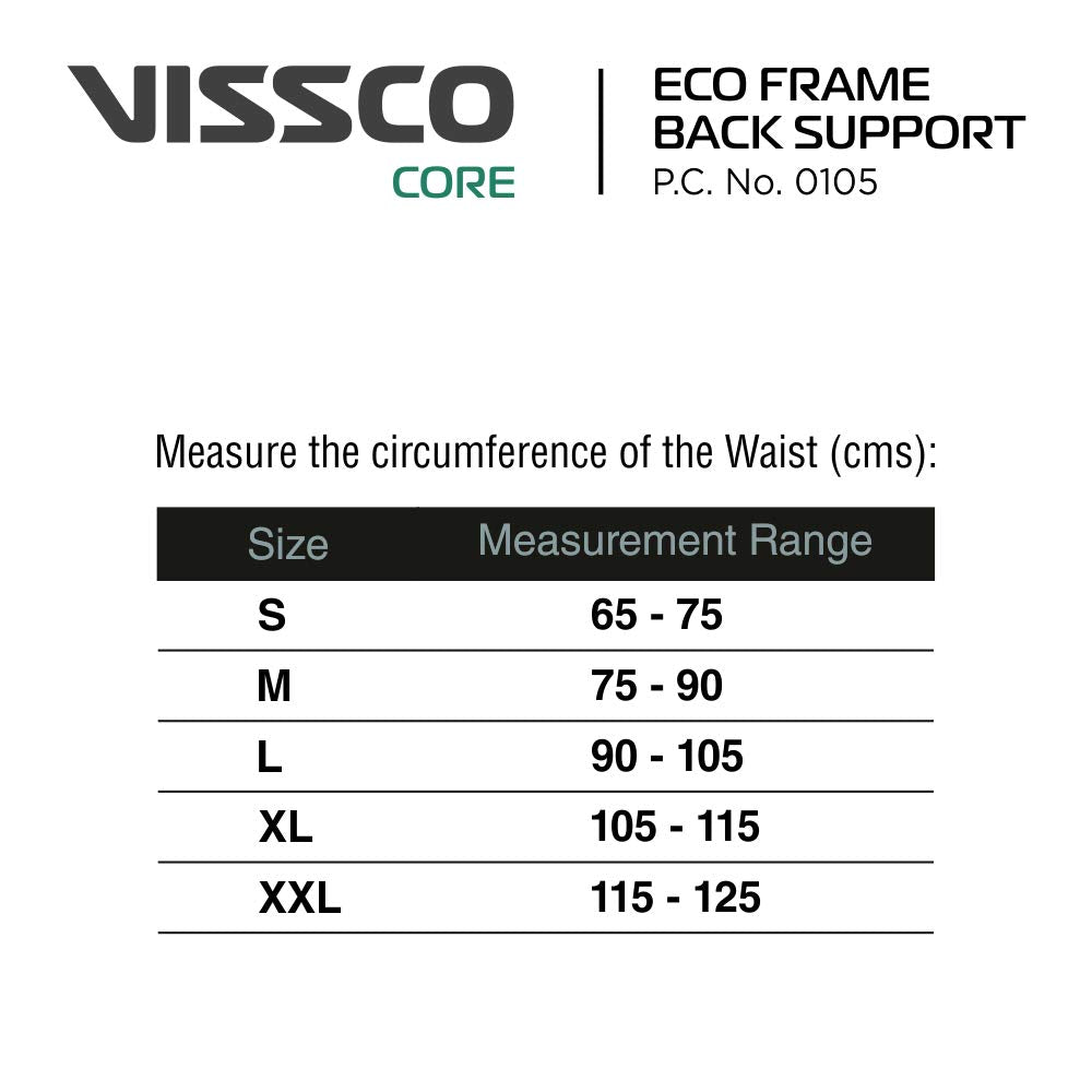 Vissco Eco Frame Back Support PC0105